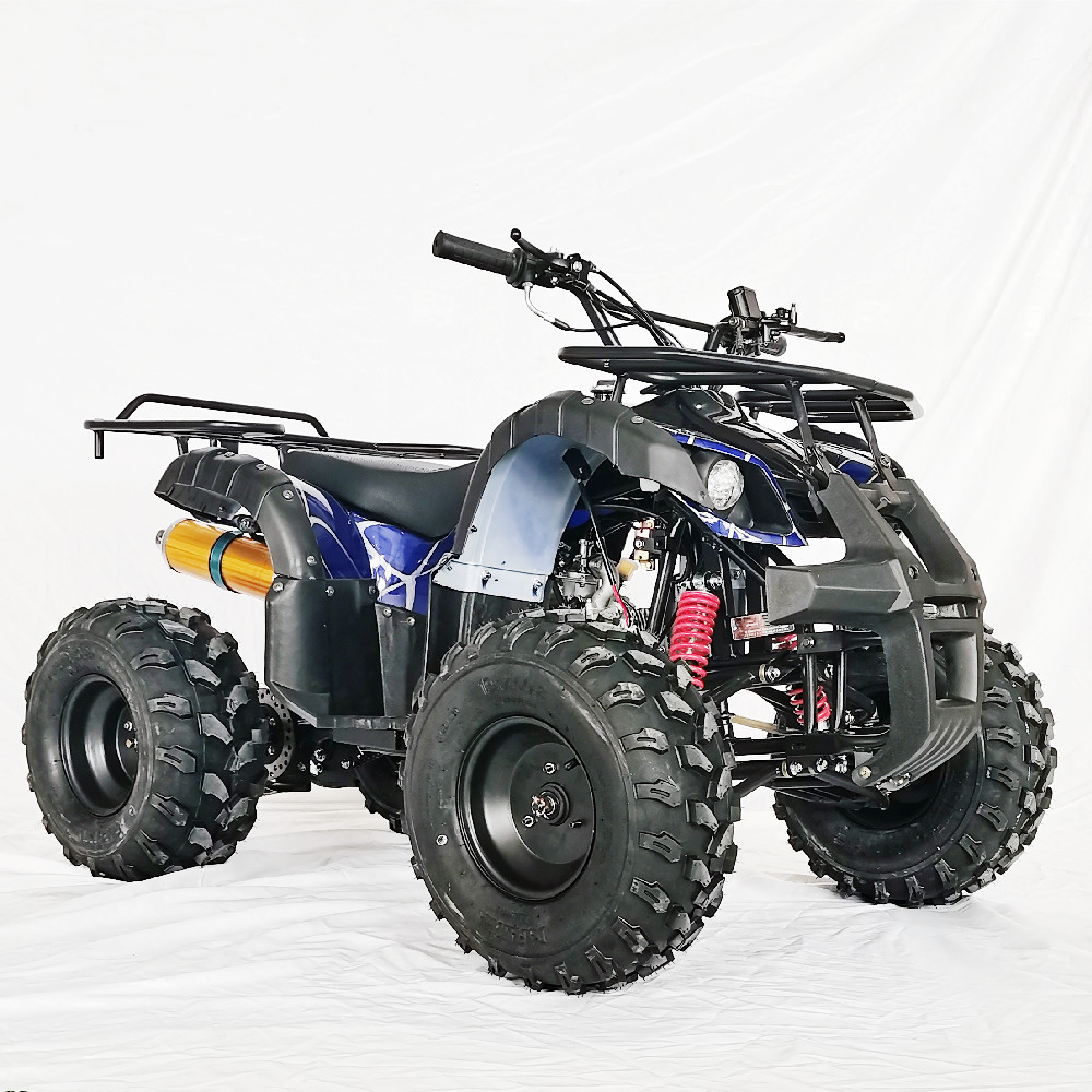 125cc大小公牛atv沙滩车,四轮越野摩托车,全地形山地车