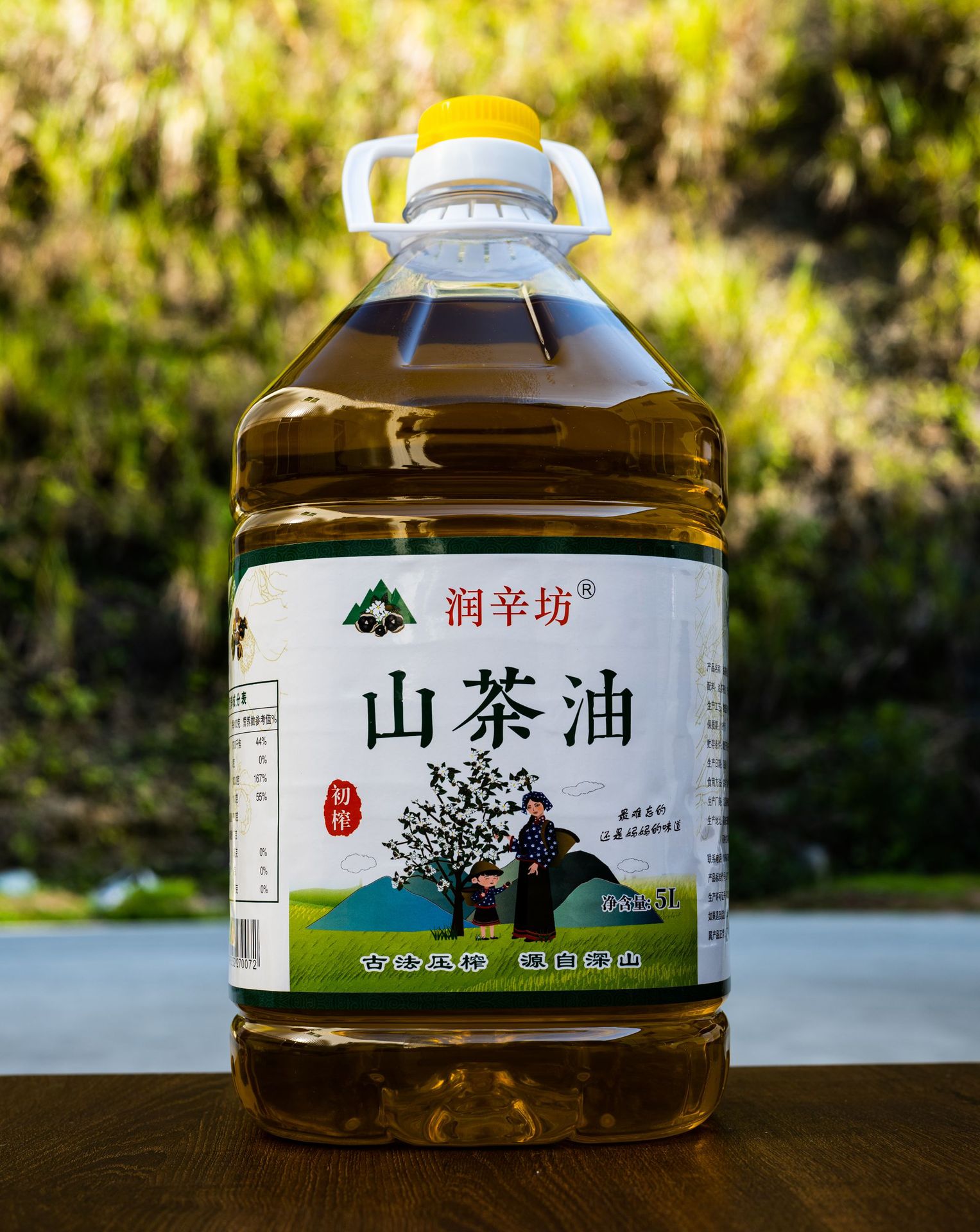 山茶油照片图片