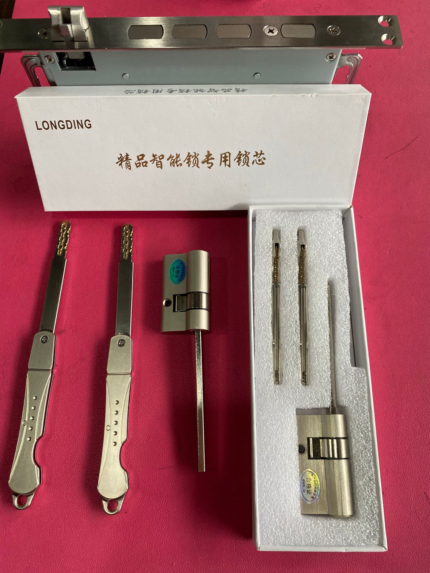 厂家批发指纹锁芯 通用型国标非标全自动锁芯智能门锁电子锁芯