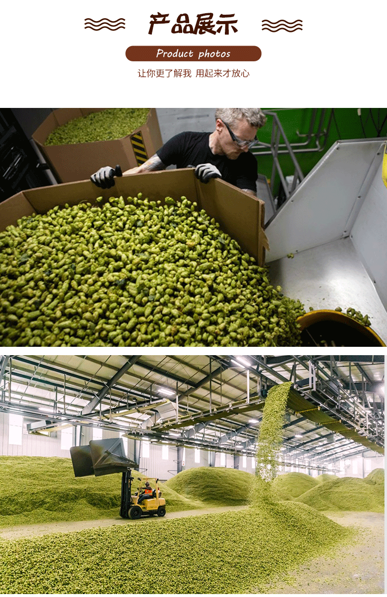 青岛大花啤酒花颗粒甘肃亚盛啤酒香花精酿啤酒面包原料包邮