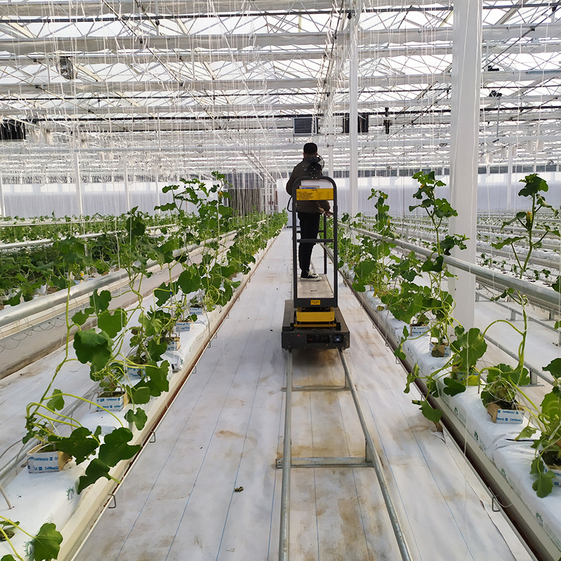 无土栽培技术设备 大棚养殖设备 无土栽培工程无土栽培设备批发