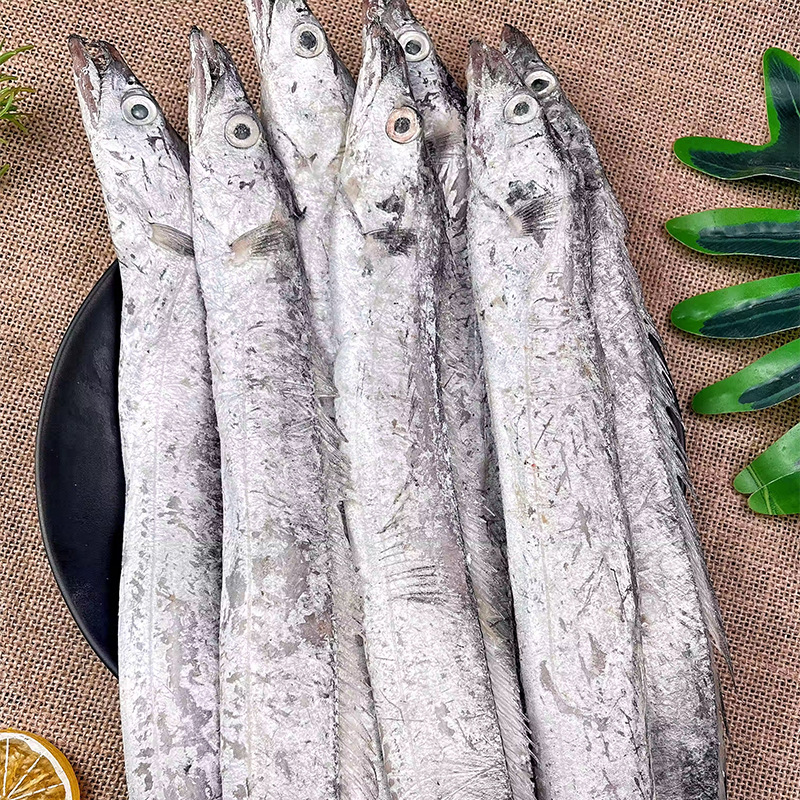 东海小眼带鱼新鲜冷冻带鱼渤海刀鱼油带鱼海鲜水产生鲜无冰鱼10斤