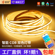 cob灯带自粘家装吊顶智能双色低压灯带led24v高亮软灯带厂家批发