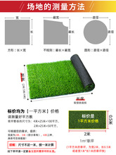 草坪地毯假草皮绿色塑料围挡人工草地铺垫足球场人造地垫户外