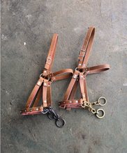 Equestrian conditioning horse dragon set lead horse bridle跨