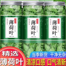 薄荷叶泡水新鲜干薄荷叶薄荷茶清凉可食用搭柠檬山楂新货罐装