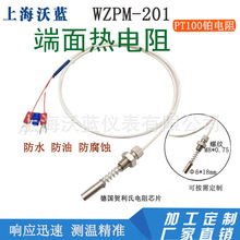 端面热电阻WZPM-201轴瓦测温探头PT100温度传感器小体热电偶