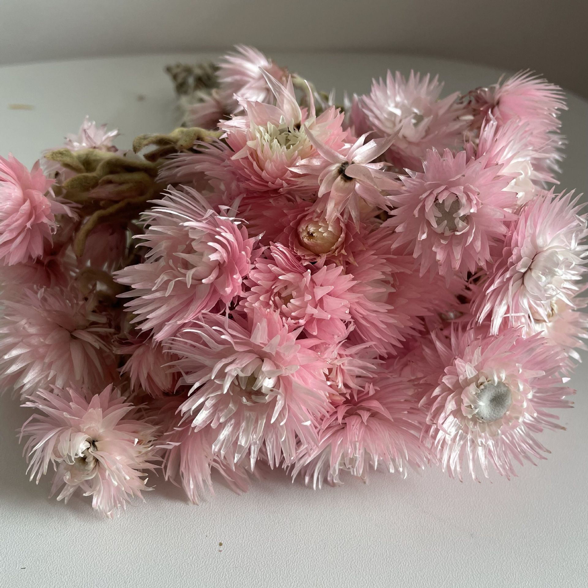 云南厂家直供干花花束旱雪莲干花岩石花进口雏菊家居派对摄影插花