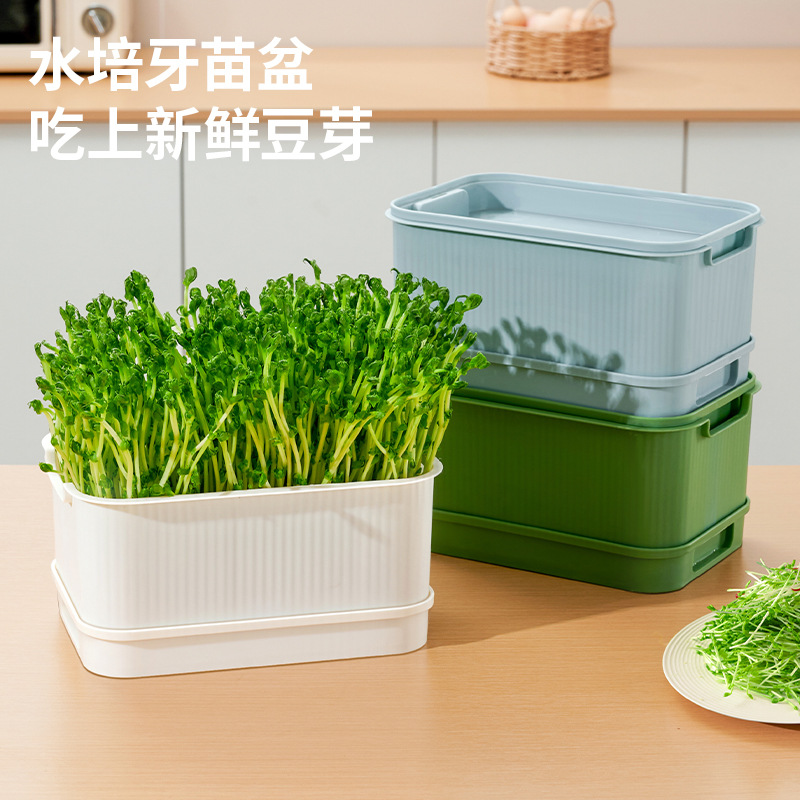 育苗盘芽苗菜盘种植发芽盆发豆芽神器黄绿豆芽土栽培水培盘