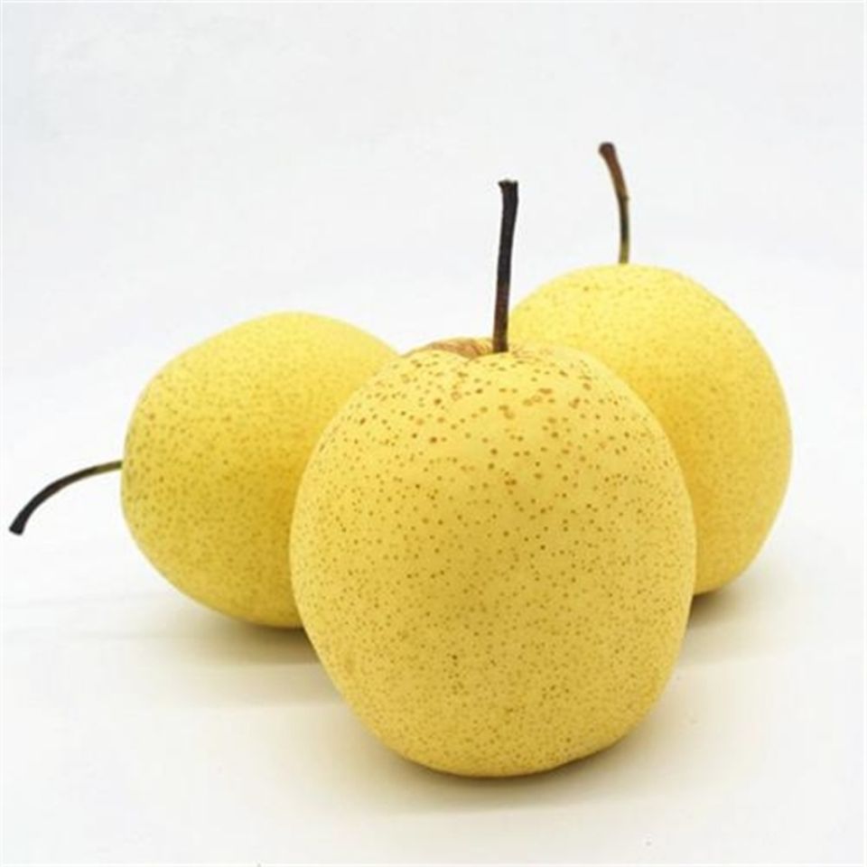 河北雪花梨0斤带箱雪梨3斤5斤非鸭梨皇冠梨酥梨水果-阿里巴巴