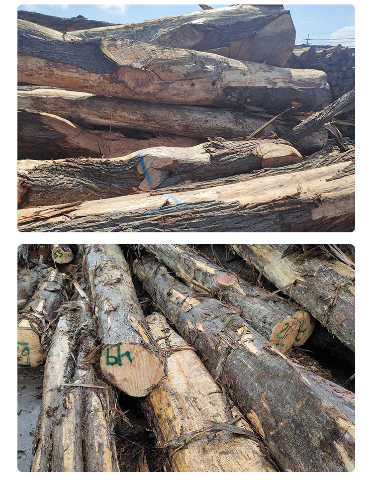 聚锦宸批发黄柏原木 川柏 红柏 柏树原木 寺庙圆木 寿木