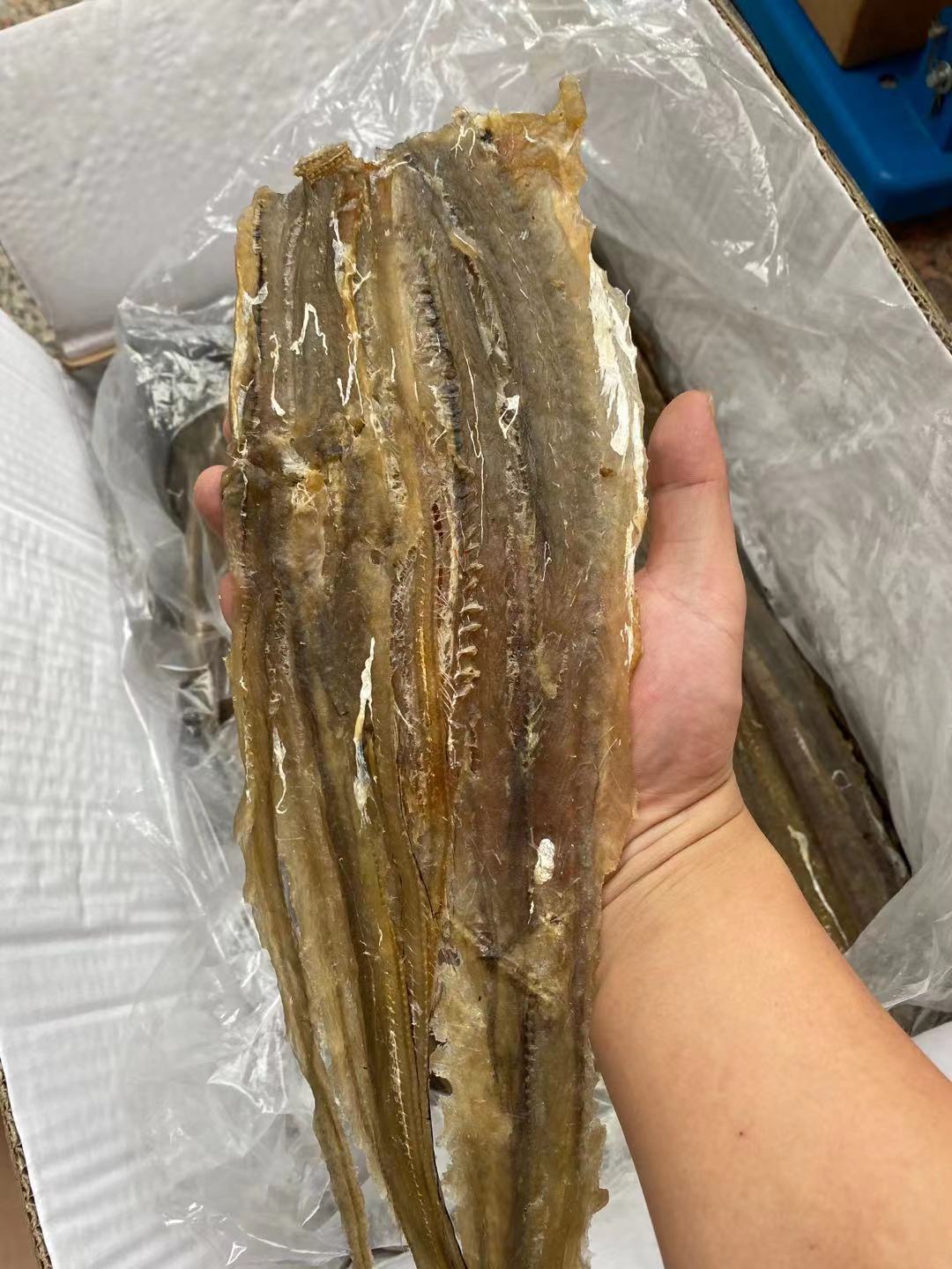 北海特产烧烤鳗鱼干手撕鳗鱼干芥末马步鱼干鳗鱼片500克海鲜批发