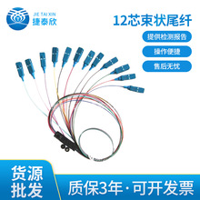广电网络12芯束状尾纤FC/APC 光纤光缆 单模尾纤 光纤连接 日海