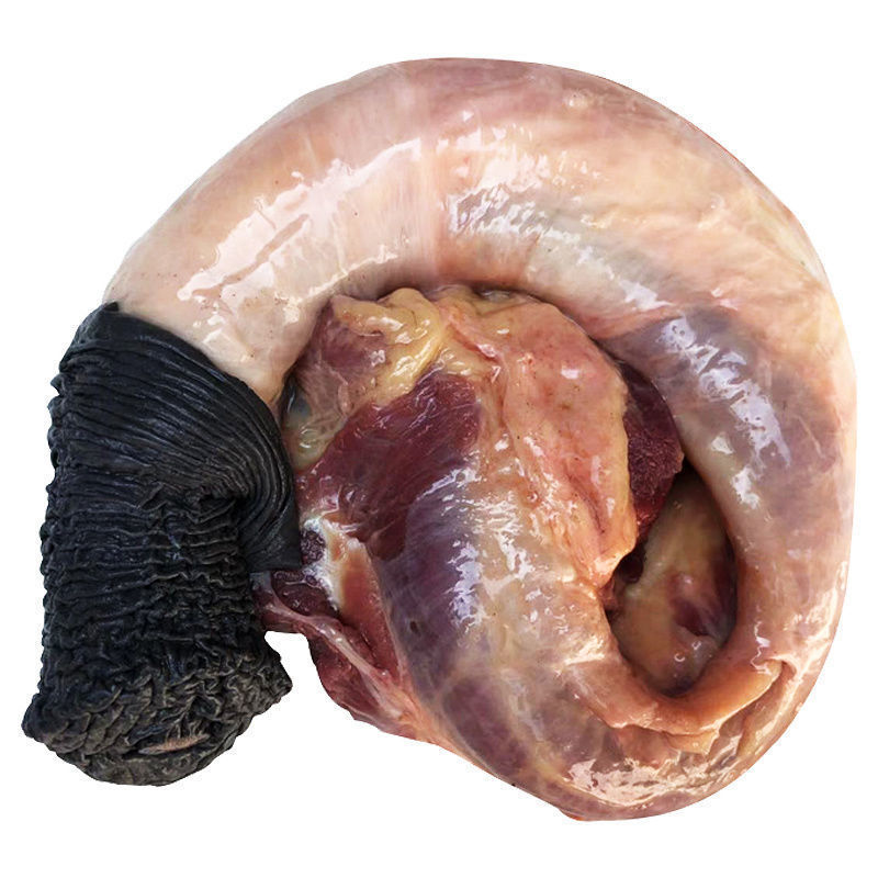 河北特产新鲜驴鞭带蛋现杀驴宝泡酒驴三样驴蛋驴腰子驴生殖器包邮