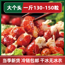 虾尾鲜冻批发鲜活小龙虾无冰衣龙虾尾特级大龙虾尾批发10斤整箱