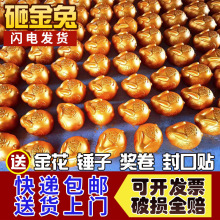 金兔摆件存钱罐砸金虎金蛋喜庆活动用品砸金虎发道具创意礼品金蛋