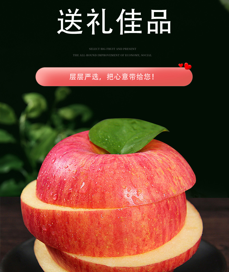 陕西 洛川苹果水果 新鲜水果脆甜现货节日礼品苹果礼盒装批发顺丰