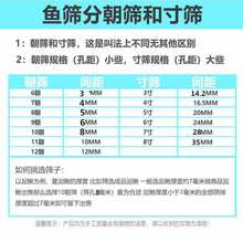 批发塑料鱼筛鱼苗苗种黄颡鱼泥鳅龙虾对虾大小分级塑胶筛子分选分