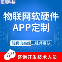 供应智慧家居办公4G蓝牙WIF物联控制模块管理系统软件APP开发服务