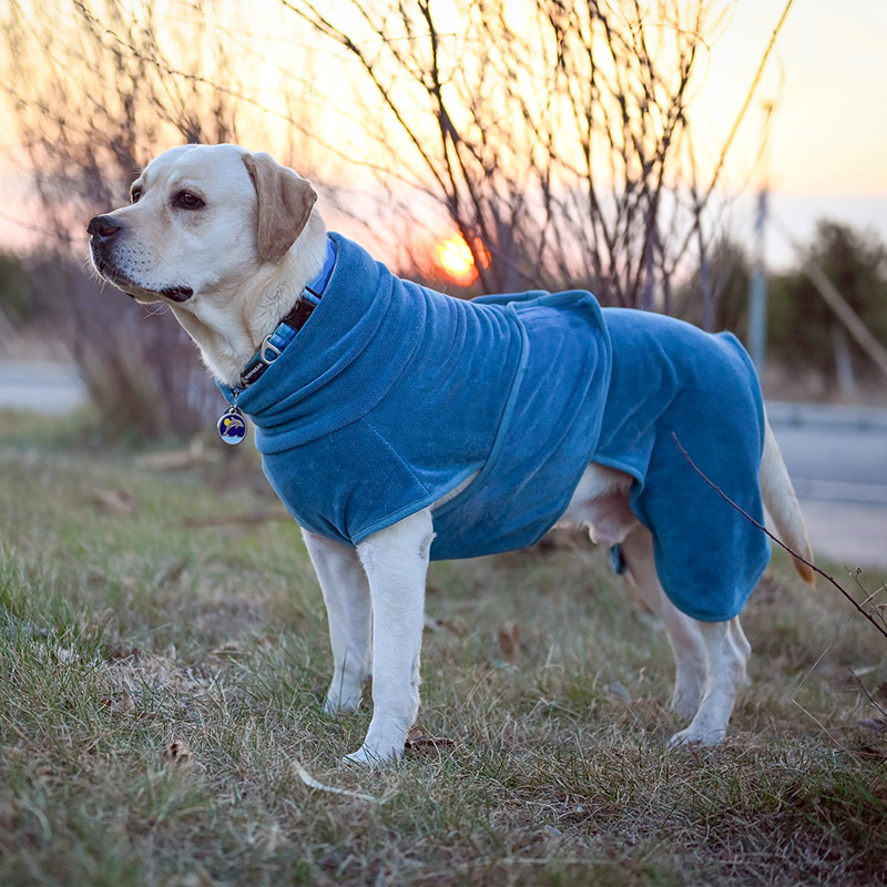 亚马逊Puppy Clothes宠物衣服狗狗服装宠物浴袍狗狗小批量