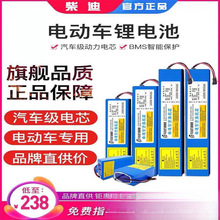 电动滑板车36V锂电池48V电池喜德盛爱玛松吉60伏自行车电瓶10A12A