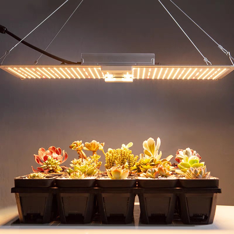 源头工厂oem定制生产大功率led植物生长灯量子板100wpf>0.98ceul