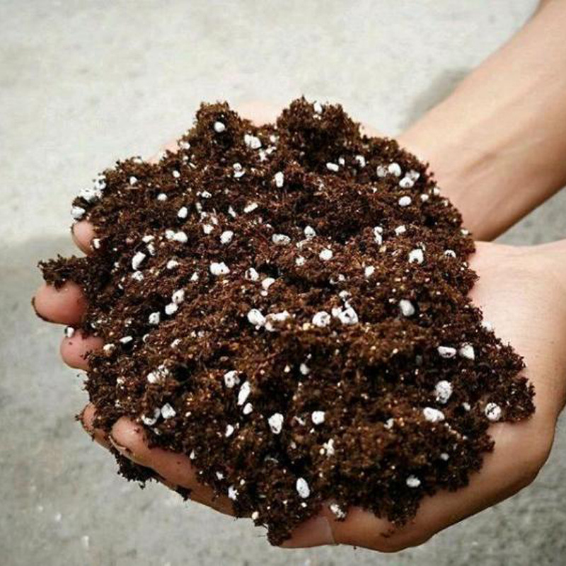 花卉通用营养土进口泥炭珍珠岩3比1混合种植土排水透气不长虫推荐