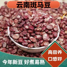 云南斑马豆 新货农家自产大圣豆 荷包豆 饭豆煲汤煮粥 斑马豆批发