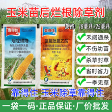 玉米地专用安全苗后除草剂 禾阔双杀不伤苗正品强效除草剂批发