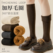 袜子女秋冬季加绒加厚长筒袜冬天毛圈保暖抗寒小腿高筒黑色长袜子