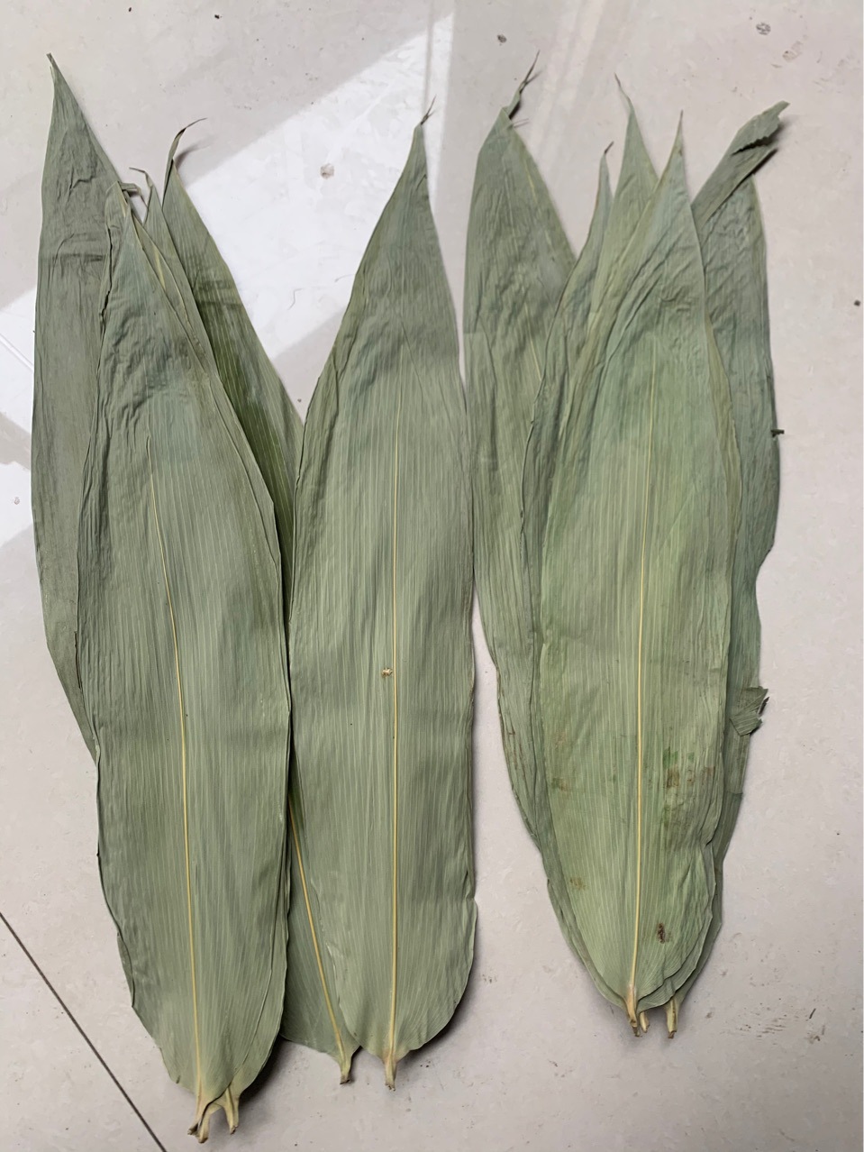 粽叶厂家批发50斤大包装端午节竹叶麻竹叶粑粑叶黄粑叶箬叶廖叶