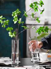 现代简约北欧ins风创意玻璃花瓶透明水养鲜花插花餐桌装饰品摆件