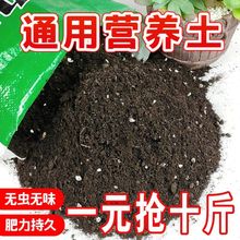 养花营养土有机营养土通用型营养土花土松针土蔬菜专用土