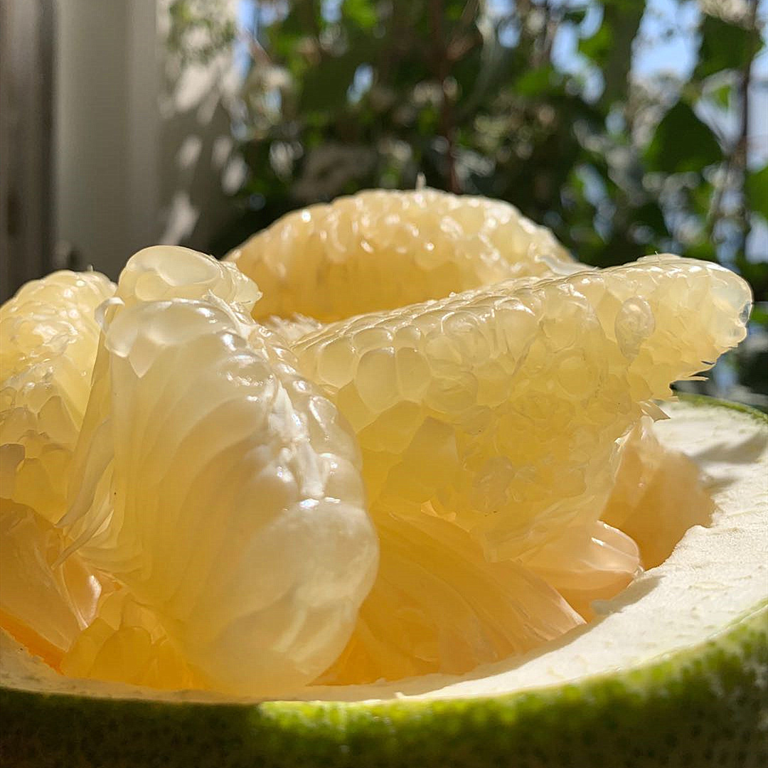泰国安帕瓦青柚2个/4个装 新鲜水果青皮蜜柚