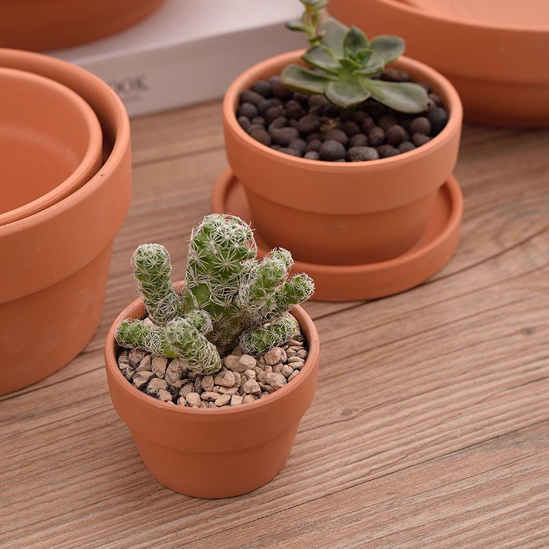 矮花盆陶瓷-矮花盆陶瓷厂家,品牌,图片,热帖-阿里巴巴