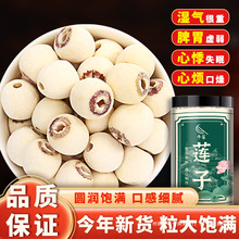 湖北洪湖2025年莲子去芯纯天然干货大粒粉糯食用磨皮无芯无硫煲汤