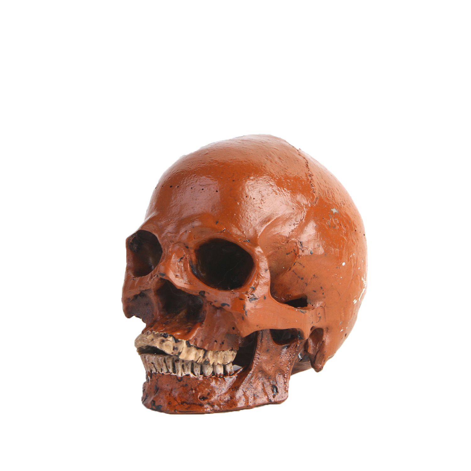 树脂工艺品骷颅头骨教学模型树脂骷髅头人头骨万圣节摆饰影视道具