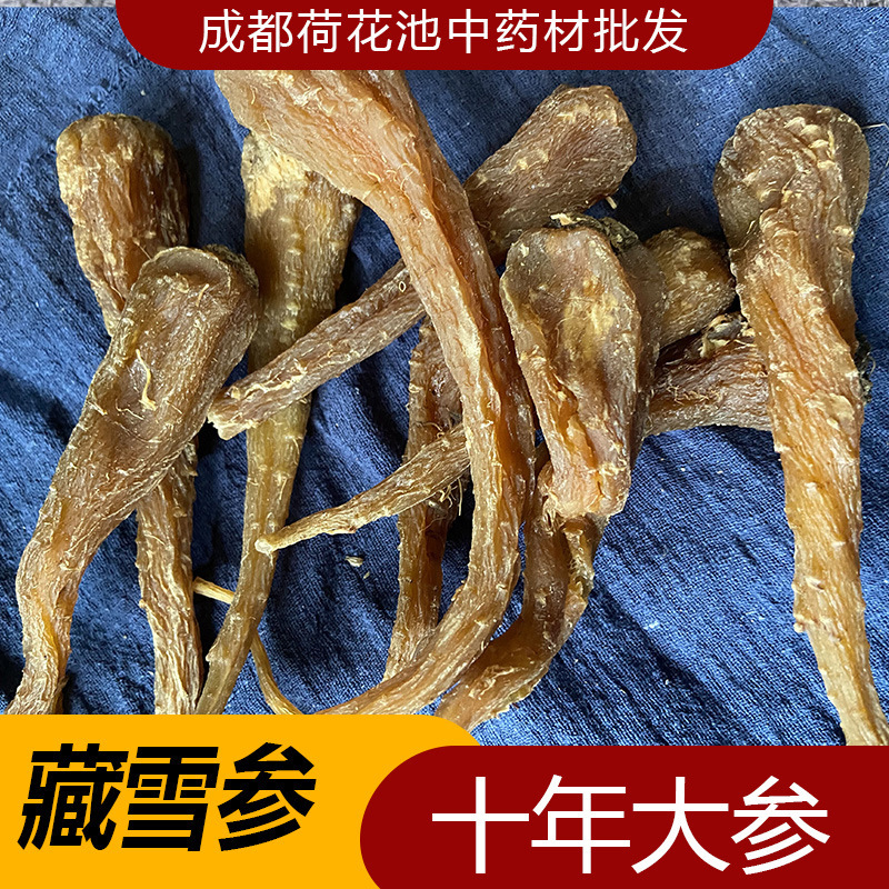 藏雪参 西藏特产藏血参雪人参玉人参 红毛阳参 中药材 500g十年