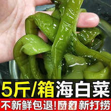 裙带菜商用海白菜非海海带斤5新鲜即食干货海藻芹菜盐渍半梗段