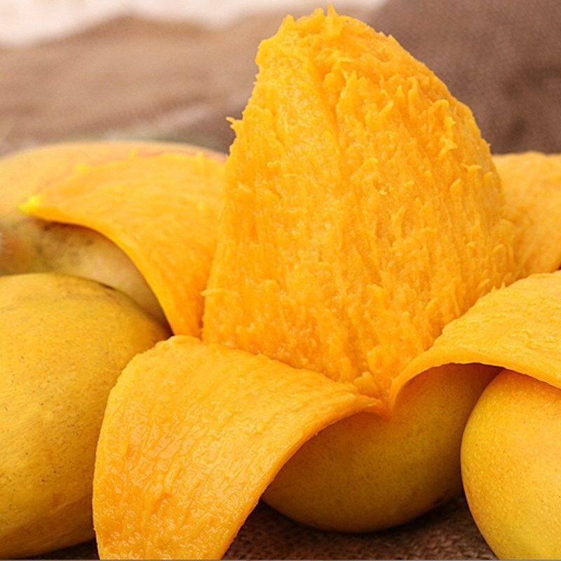 海南小台芒台农芒新鲜当季水果现摘现发一件代发