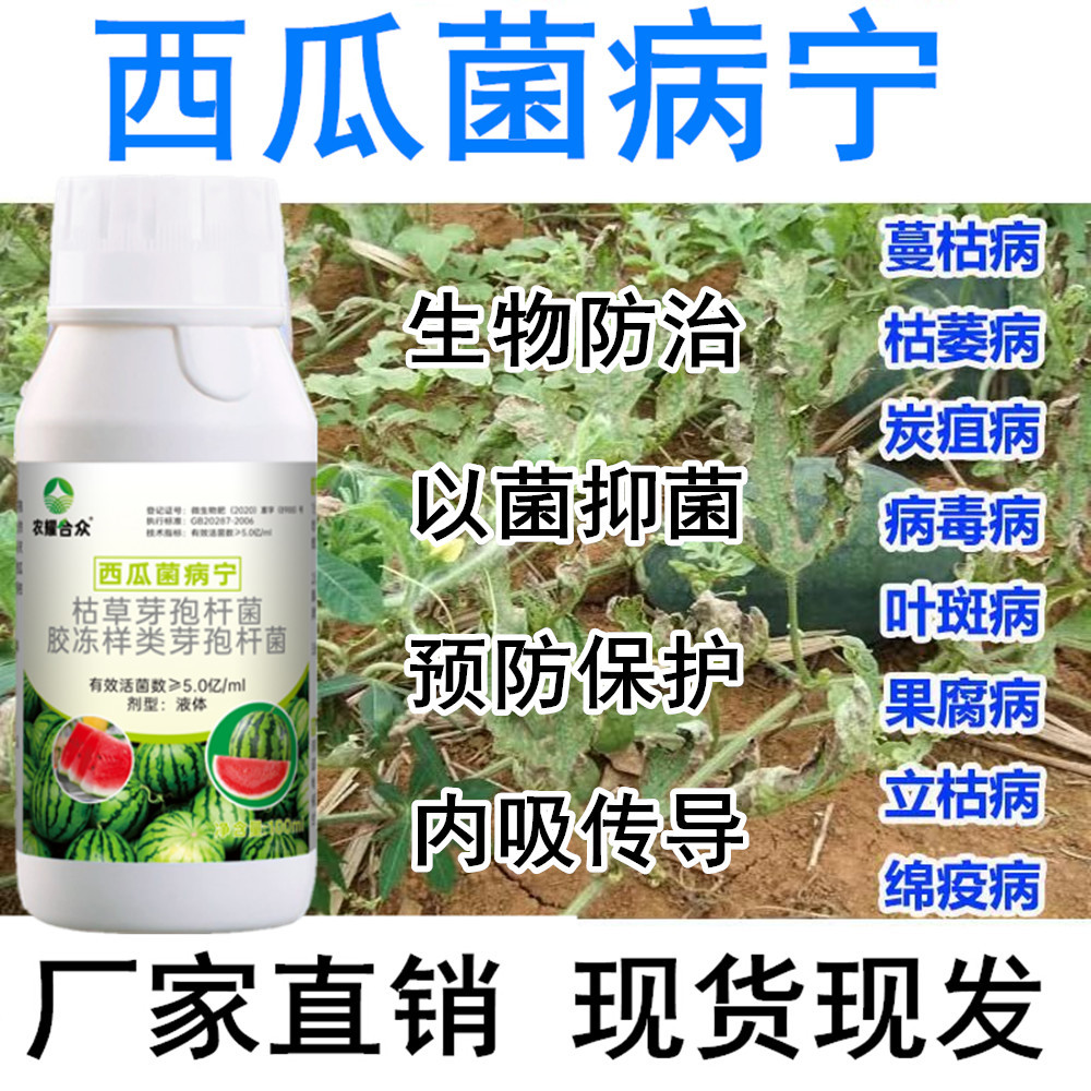 西瓜防病药非农药病菌清甜瓜哈密瓜白粉病枯萎蔓枯病炭疽病杀菌剂