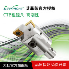 台湾Evermore艾菲茉标准型可调式镗刀CTB22-28 27-35通孔型粗镗头