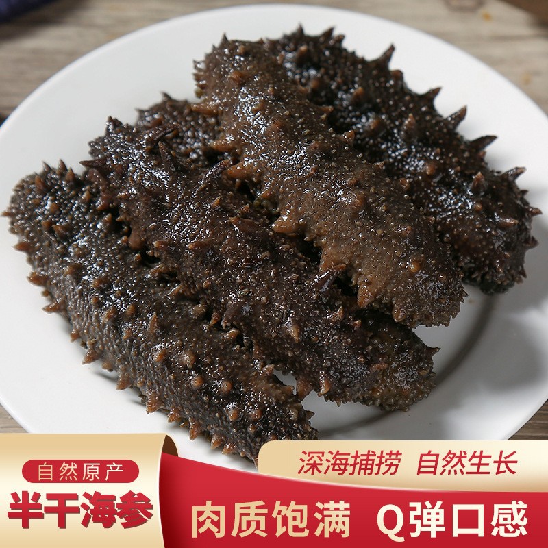 南方刺身-福建霞浦拉缸盐海参45-50克 半干盐渍海参 顺丰冷链直发