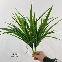 仿真绿植凤兰叶 塑料兰花叶 植物墙森系草坪工程软装造景厂家批发