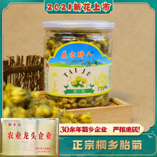 桐乡头采胎菊 花果茶批发杭白菊产地厂家直销罐装菊花茶 玫瑰花茶