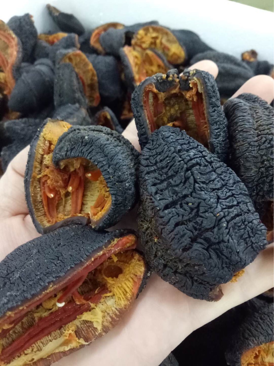 加拿大红极参皮足干海参叶瓜参美国淡干海味脆筋泡发高一件代发