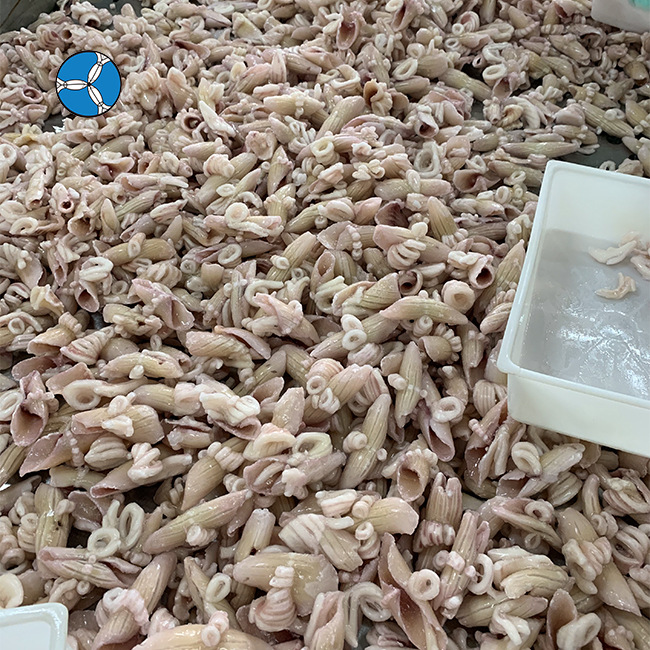 牛角花鱿鱼花 冷冻耳尖切花鱿鱼尾墨鱼花 大尤鱼三丰顺尖角花