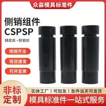 CSPS侧销组件CSPS/CSPW汽车冲压模具配件单双槽侧销组件非标