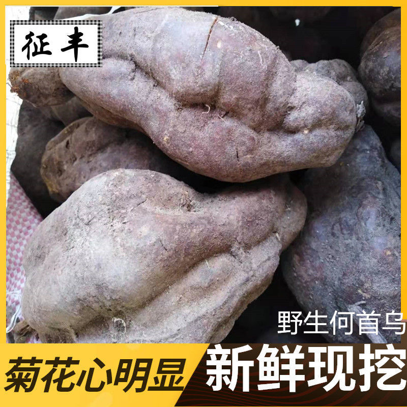 500g何首乌新鲜何首乌中药材何首乌苗鲜首乌赤首乌生首乌