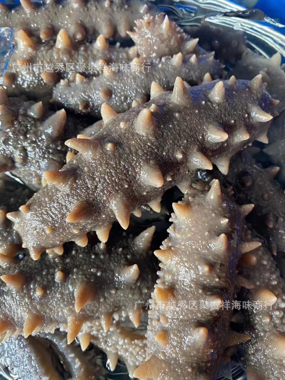 大连海参辽刺参a级淡干干货满天星一件代发40头50头批发
